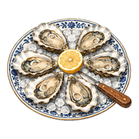Drawing of six oysters on a blue and white plate with half a lemon and an oyster knife