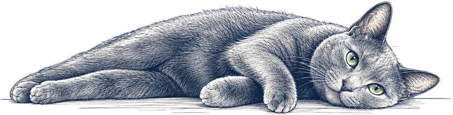 A drawing of Loulou, a Russian Blue cat, lying on her side and looking at you